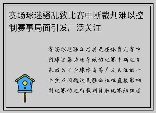 赛场球迷骚乱致比赛中断裁判难以控制赛事局面引发广泛关注